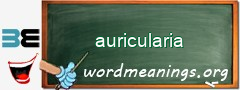 WordMeaning blackboard for auricularia